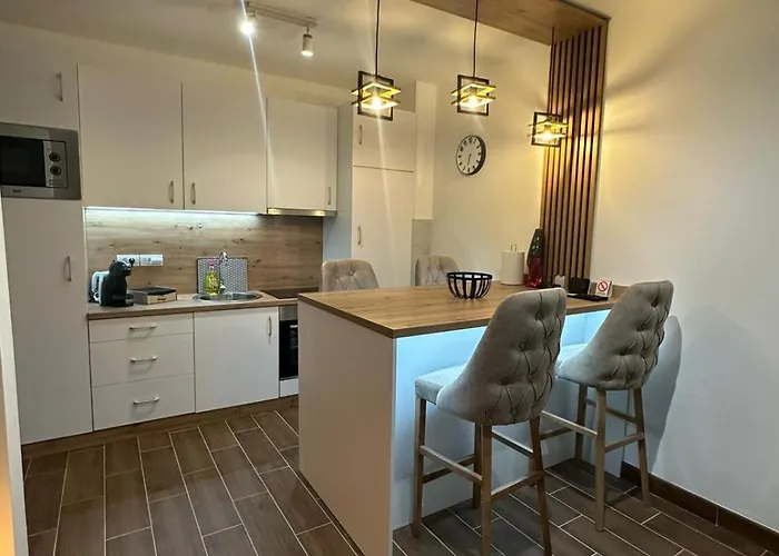 Apartman Vasic Vrnjačka Banja